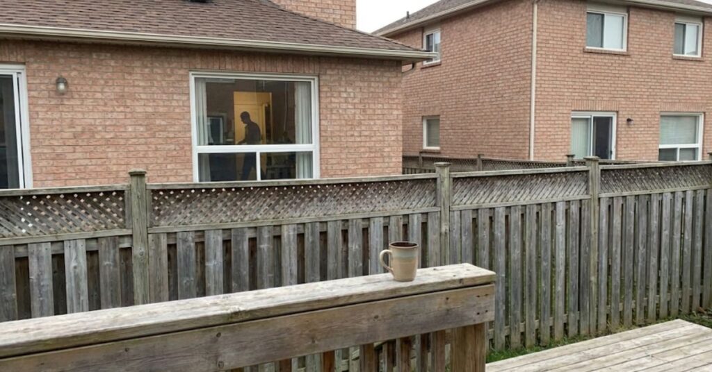 Tired of Your Neighbors? The Grumpy Guide to the Best Privacy Trees and Fast-Growing Hedges 3 A dense privacy wall of Green Giant Arborvitae trees along a backyard fence.