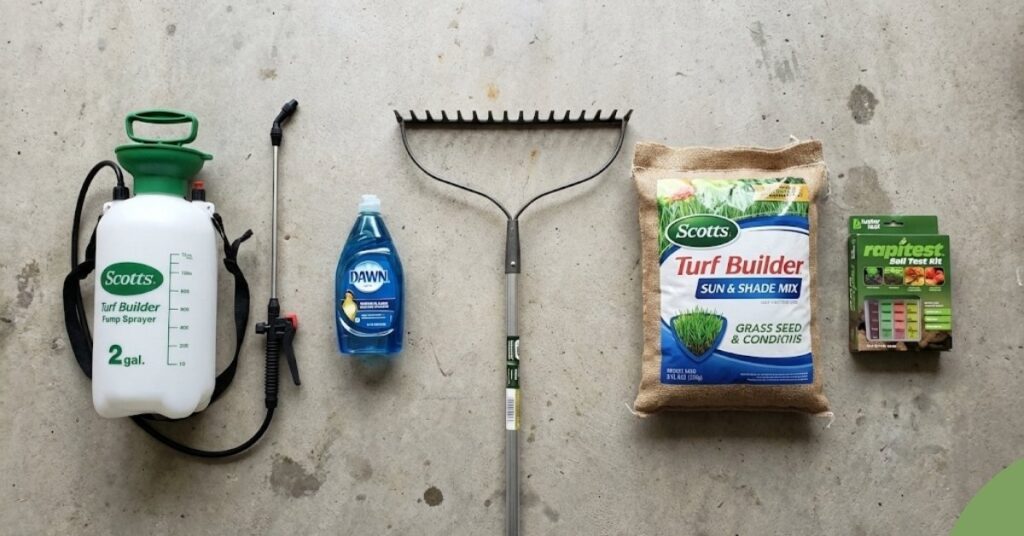 A collection of tools for DIY moss removal including a sprayer, rake, and dish soap.