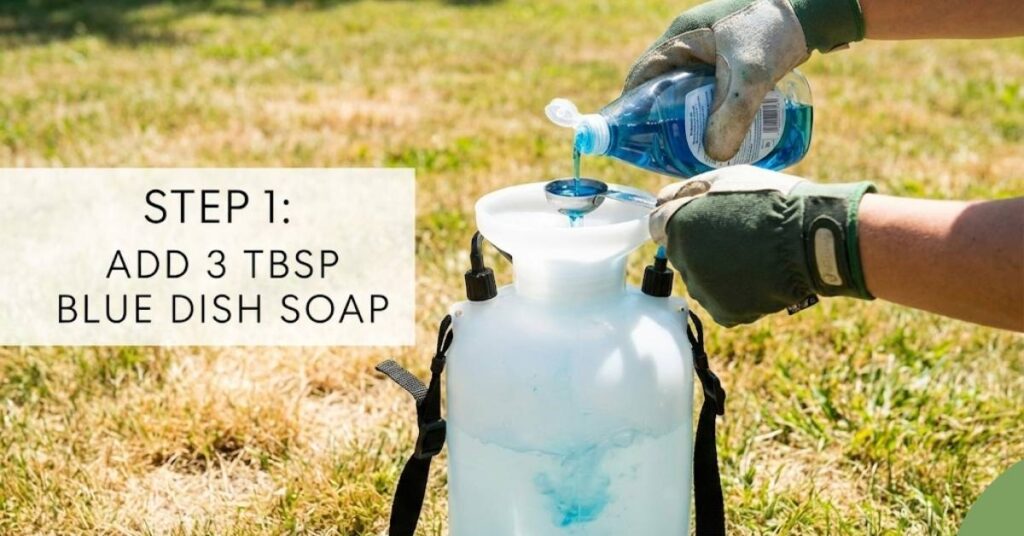 Person mixing dish soap and water in a garden pump sprayer for moss treatment.